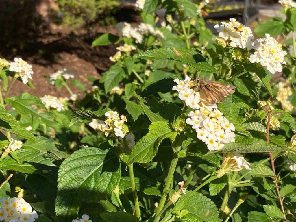 Find exciting literary events at Powell’s&nbsp;Books