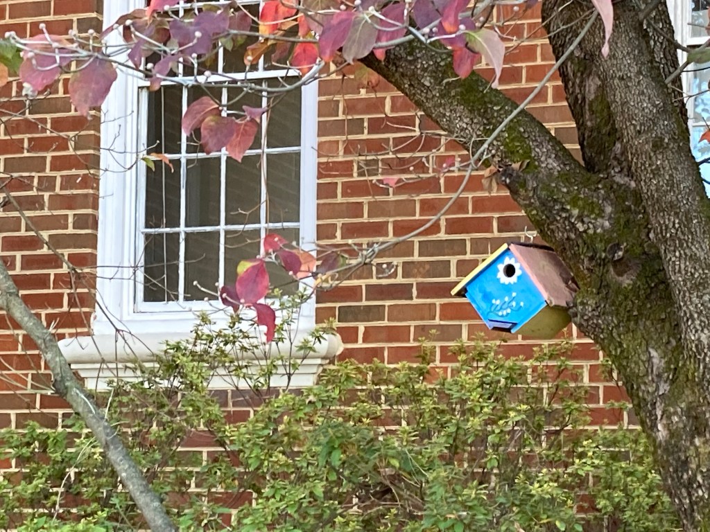 Local Writing & Art&nbsp;Competition