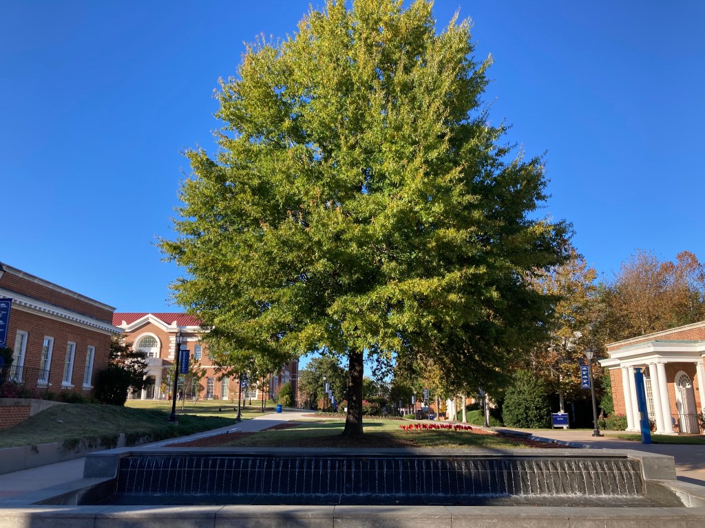 What is a literary&nbsp;journal?