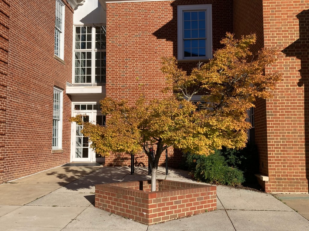 Four Fantastic Resources for&nbsp;Readers