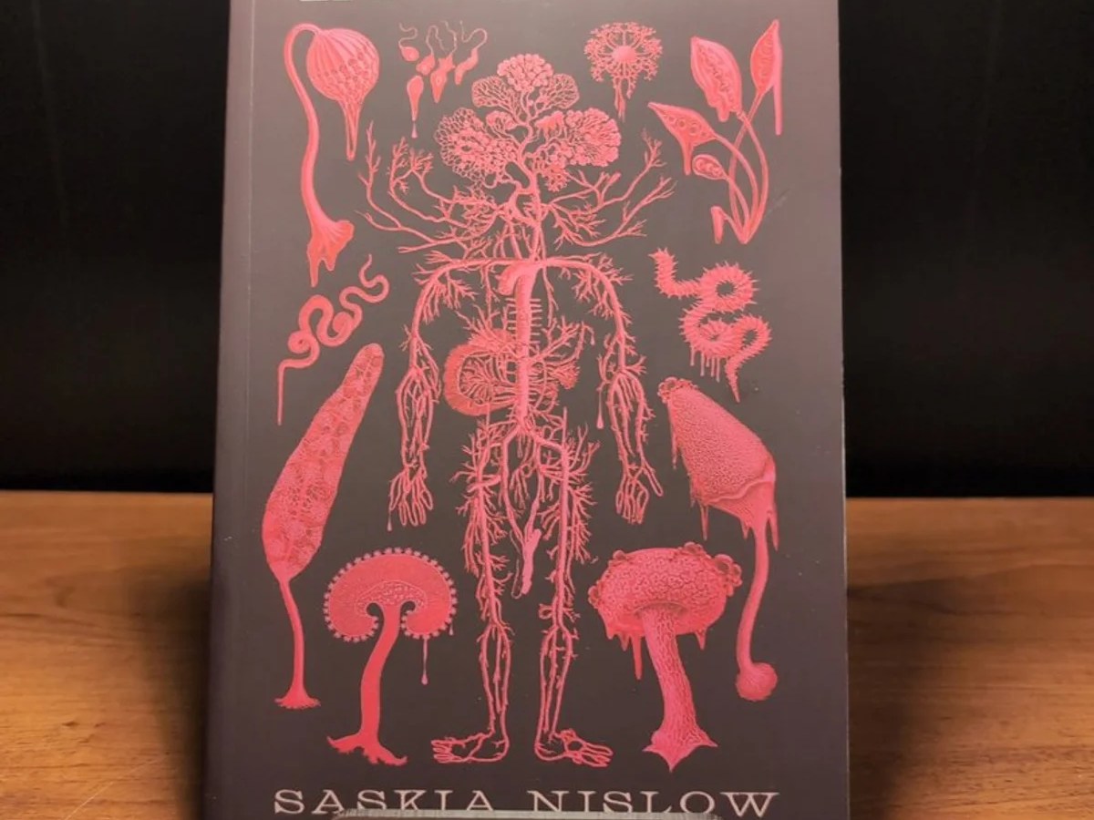 Book Review on Saskia Nislow’s Root&nbsp;Rot